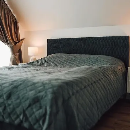 Isskirtinis Namas Palangoje Su Privaciu Baseinu, Masaziniu Lauko Kubilu Ir Pirtimi Villa Palanga